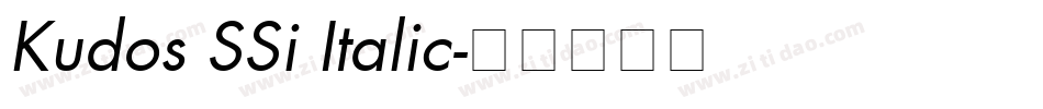 Kudos SSi Italic字体转换